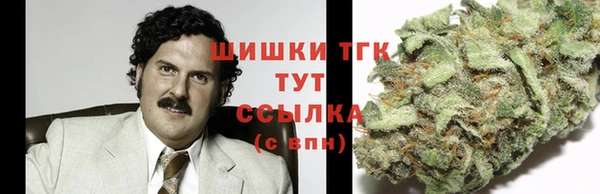 крисы Козловка