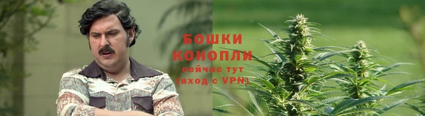таблы Кодинск