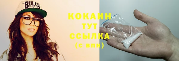 крисы Козловка