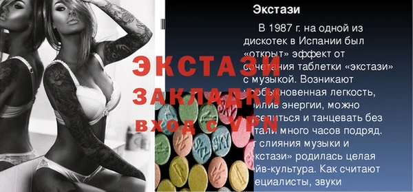 крисы Козловка