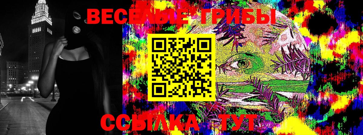 Псилоцибиновые грибы ЛСД  как найти наркотики  Котовск  Вход с VPN 